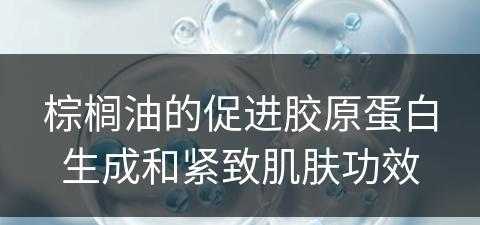 棕榈油的促进胶原蛋白生成和紧致肌肤功效